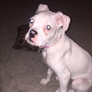 Meet your Posher, Larissa